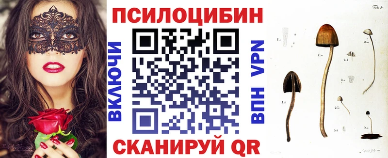 гидра вход  Южа  Галлюциногенные грибы Cubensis 